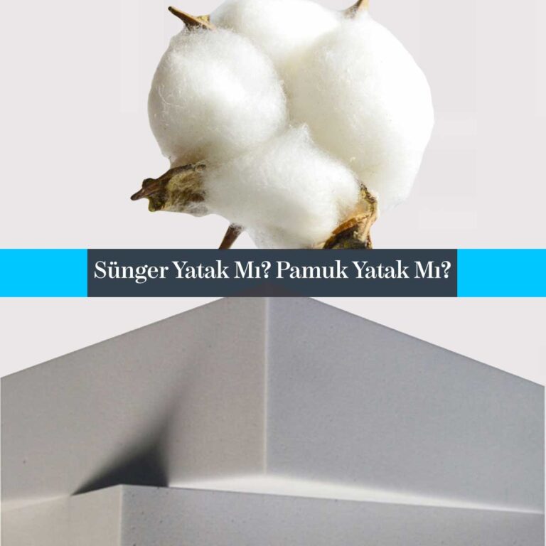 Sünger Yatak Mı Pamuk Yatak Mı